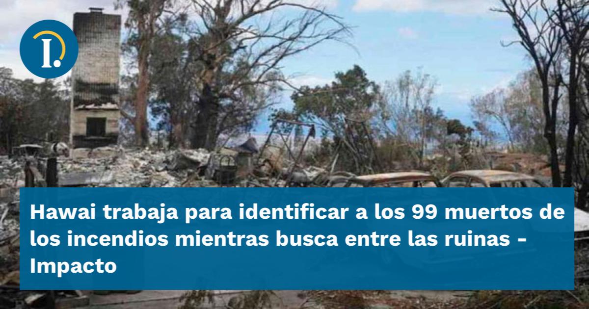 Hawai Trabaja Para Identificar A Los 99 Muertos De Los Incendios