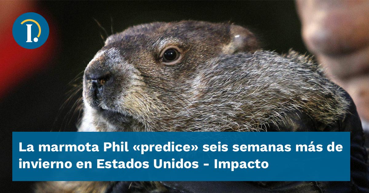 La marmota Phil "predice" seis semanas más de invierno en Estados