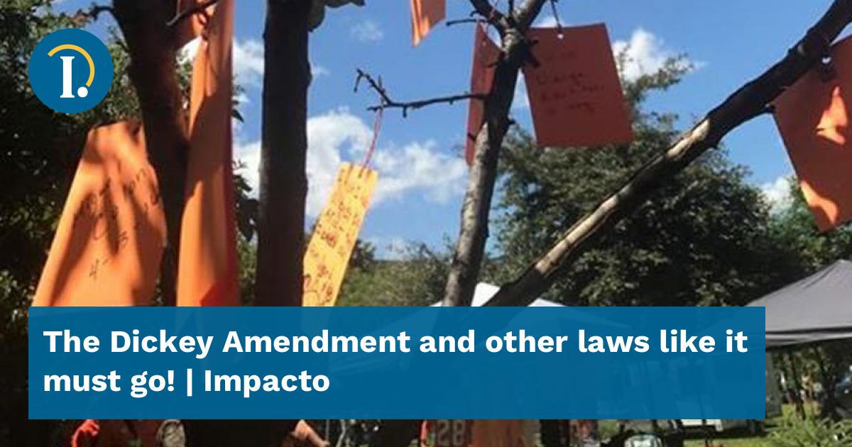 the-dickey-amendment-and-other-laws-like-it-must-go-impacto