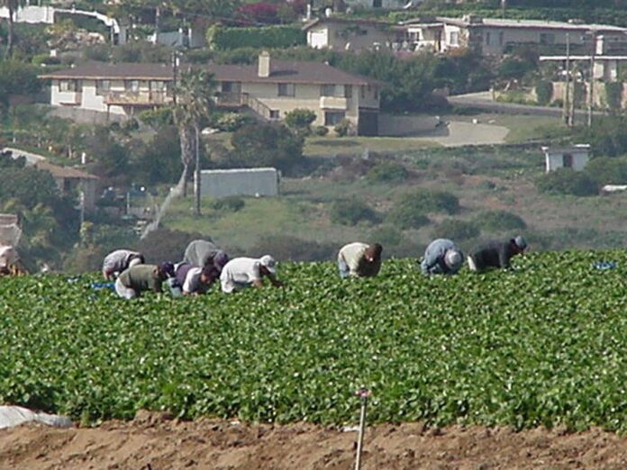 trabajadores